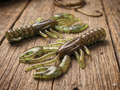 3.4" Glory Craw