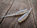 2" Ribbed Crappie Minnow